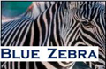 Blue Zebra Logo