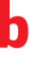 Boomerang Logo