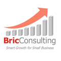 BricConsulting Logo
