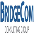 BridgeCom Consulting Group Logo