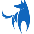 Bright Wolf, LLC Logo