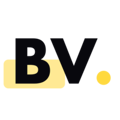 Binary Vision Studios Logo