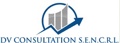 DV Consultation S.E.N.C.R.L. Logo
