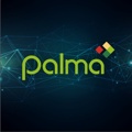 Palma Financial Services Logo