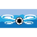Sky Blue Views Logo
