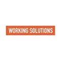 www.workingsolutionsnyc.com Logo
