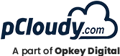 pCloudy Logo