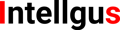 Intellgus - Outsourcing Accounting Company Logo