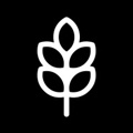 Digital Seed GmbH iG Logo