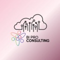 BI Pro Consulting Logo