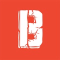 13 Bricks Logo