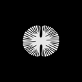 Natural Tech House Logo