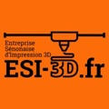 ESI-3D Logo
