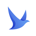 Bluebirdz Logo