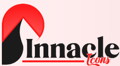 PINNACLE ICONS Logo