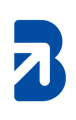 Braandix Business Consultancy Logo