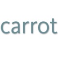 Carrot Communications Ltd. Logo
