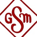 Sturgeon Glass & Mirror Logo