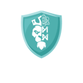 METANOW Logo