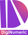 DigiNumeric Logo