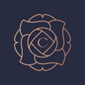 Carousel Events FZ LLC Logo