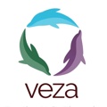 Veza Global Logo