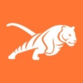 TIGER MARKETING Group GmbH Logo