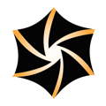Audiovisual Network Logo