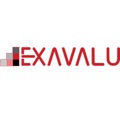Exavalu Logo