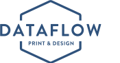 Data Flow Logo