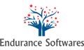 Endurance Softwares Logo