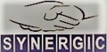 Synergic Management Consultants Private Limited Logo