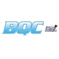 Best Quality Cleaning LLC Logo