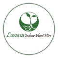 Luwasa Indoor Plant Hire Logo