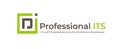 Professional IT Solutions Logo