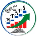 NTAPS INC Logo