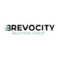 Brevocity Solutions Group Logo