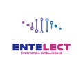 Entelect Logo
