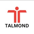 Talmond Consulting Services Logo