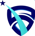 VoidStarIndia Solutions LLP Logo