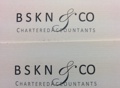 BSKN & Co Logo