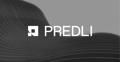 Predli Consulting Logo