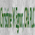 Christine W Egnor, CPA, PLC Logo