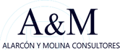 Alarcón y Molina Consultores Ltda Logo