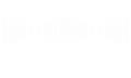 Healthonomix Logo