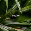 sodio Logo
