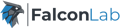 FalconLab Logo
