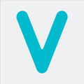 Viindoo Technology Joint Stock Company Logo