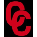 Constant Consulting Logo