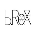 b.ReX GmbH Logo